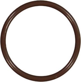 Fuel Injection Idle Air Control Valve Seal