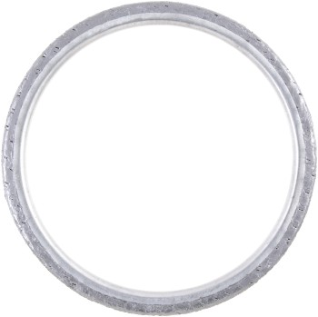 Exhaust Pipe Flange Gasket