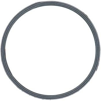 Exhaust Pipe Flange Gasket