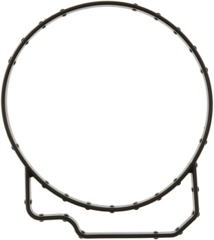 Fuel Injection Throttle Body Mounting Gasket