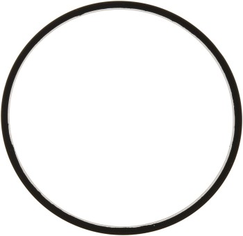 Fuel Injection Throttle Body Mounting Gasket