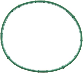 Fuel Injection Throttle Body Mounting Gasket