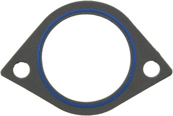 Fuel Injection Plenum Gasket