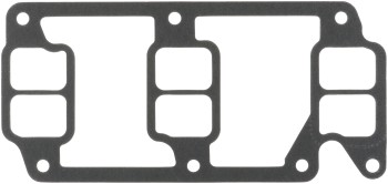 Fuel Injection Plenum Gasket