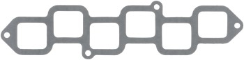 Fuel Injection Plenum Gasket