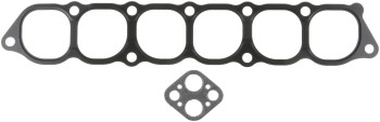 Fuel Injection Plenum Gasket