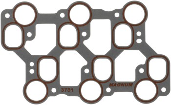 Fuel Injection Plenum Gasket