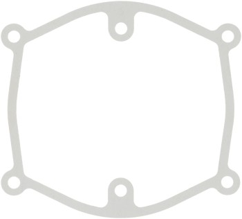 Fuel Injection Plenum Gasket