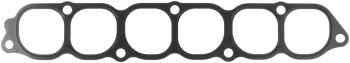 Fuel Injection Plenum Gasket