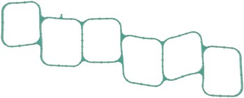Fuel Injection Plenum Gasket