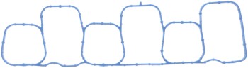 Fuel Injection Plenum Gasket