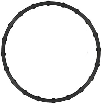 Fuel Injection Throttle Body Mounting Gasket