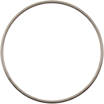 Exhaust Pipe Flange Gasket