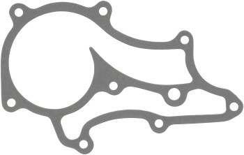 Engine Water Pump Gasket
