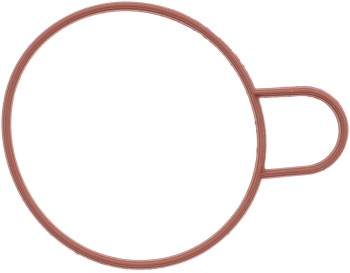 Fuel Injection Throttle Body Mounting Gasket