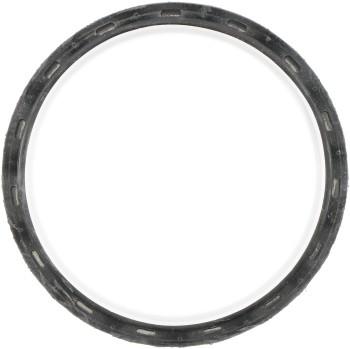 Engine Oil Cooler Gasket