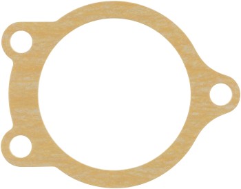Engine Coolant Thermostat Gasket