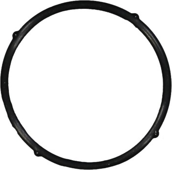 Engine Coolant Outlet Gasket