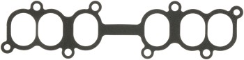 Fuel Injection Plenum Gasket
