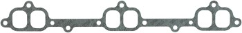 Fuel Injection Plenum Gasket