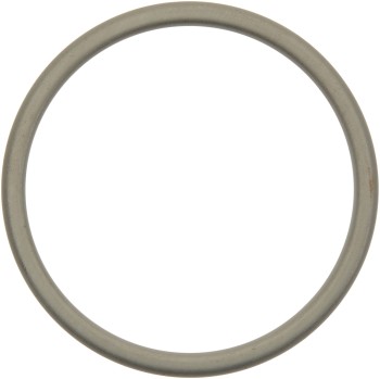 Catalytic Converter Gasket