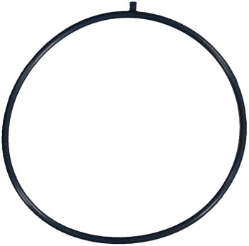 Fuel Injection Throttle Body Mounting Gasket