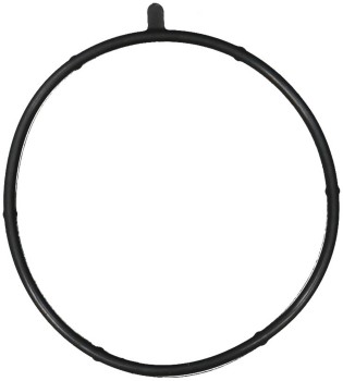 Fuel Injection Throttle Body Mounting Gasket