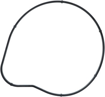 Engine Water Pump Gasket