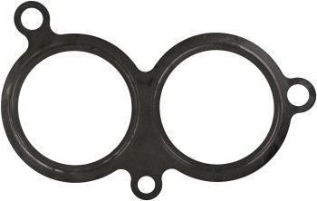 Fuel Injection Plenum Gasket