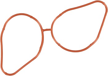 Fuel Injection Plenum Gasket