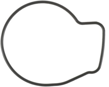 Engine Water Pump Gasket