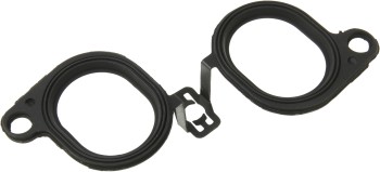 Fuel Injection Plenum Gasket