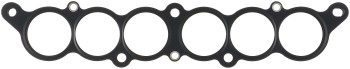 Fuel Injection Plenum Gasket