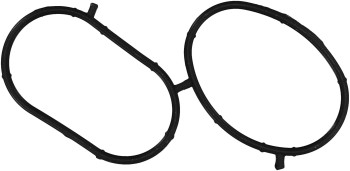 Fuel Injection Plenum Gasket