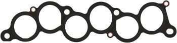 Fuel Injection Plenum Gasket