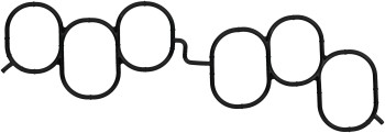 Fuel Injection Plenum Gasket