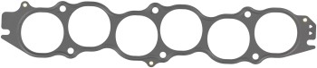 Fuel Injection Plenum Gasket