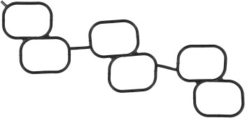 Fuel Injection Plenum Gasket