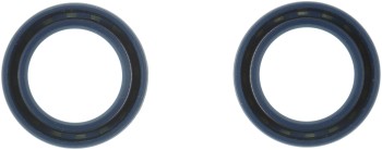 Engine Camshaft Seal