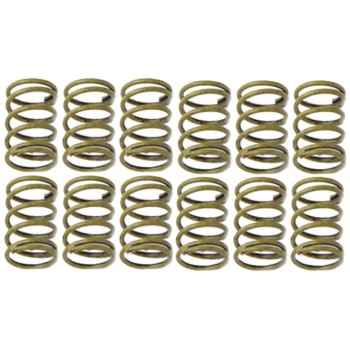 Drum Brake Shoe Hold Down Spring