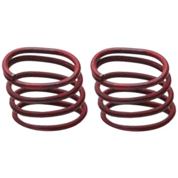 Parking Brake Strut Spring