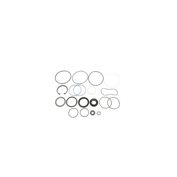 Steering Gear Seal Kit