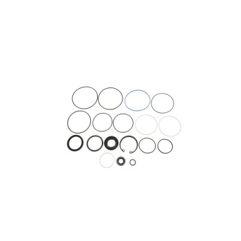 Steering Gear Seal Kit
