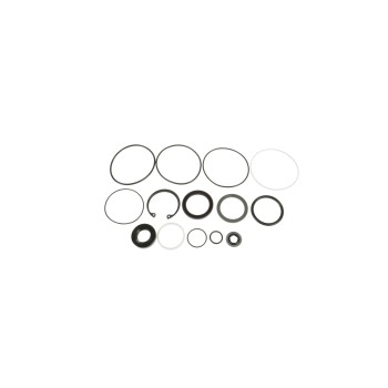 Steering Gear Seal Kit