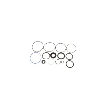 Steering Gear Seal Kit