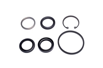Steering Gear Pitman Shaft Seal Kit