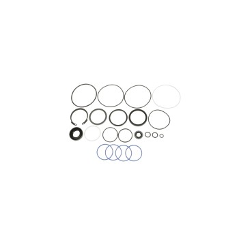 Steering Gear Seal Kit