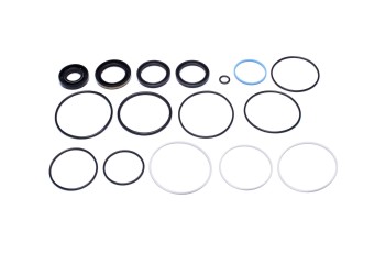 Steering Gear Seal Kit