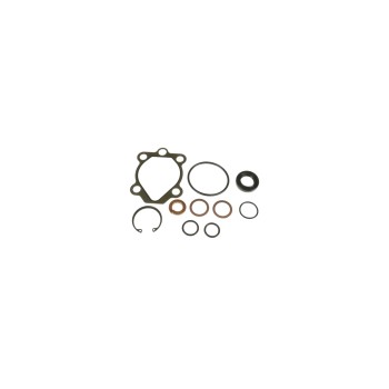 Power Steering Pump Seal Kit