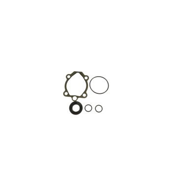 Power Steering Pump Seal Kit